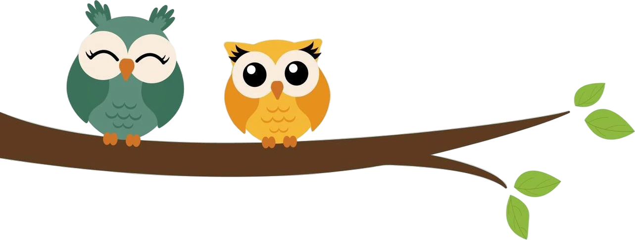 Little Owls