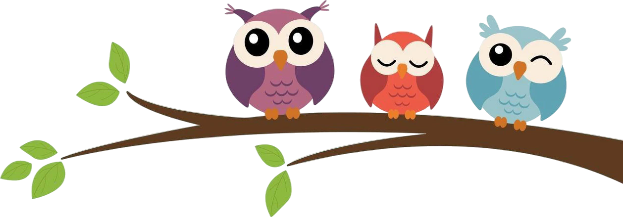Little Owls